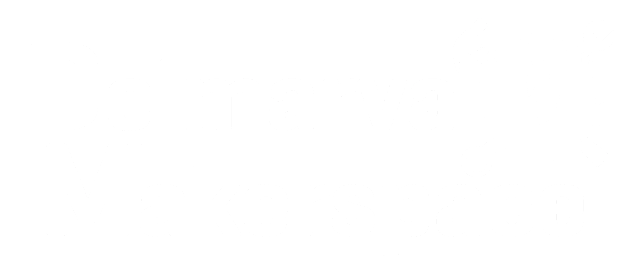 Dmvms Logo White 2048x895.png